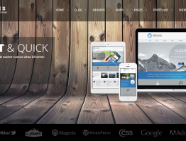 Circles Theme